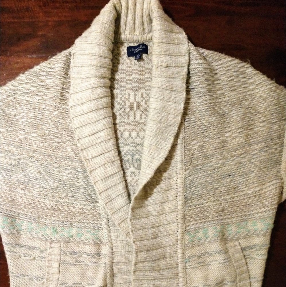 AEO oversized chunky sweater cardigan